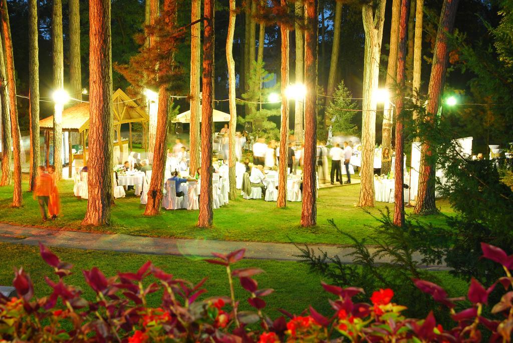 Hotel Villa Majur 苏博蒂察 外观 照片